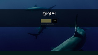 토토사이트 상어 